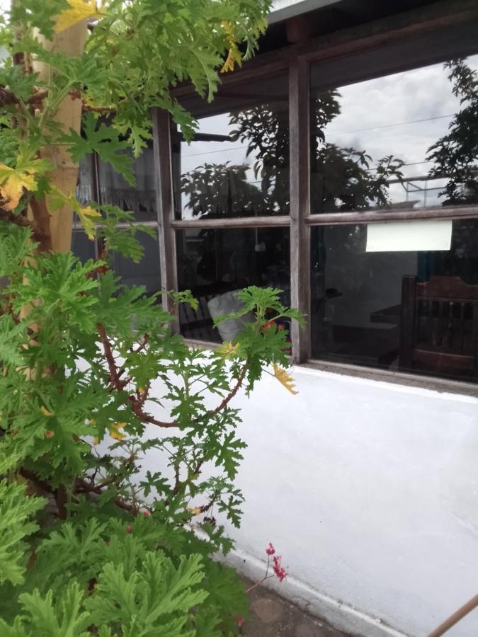 Hostal Familiar Jerico Salento Exterior photo